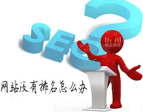 網(wǎng)站排名